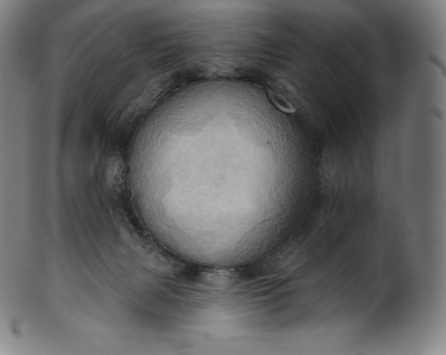 X0000101210079200807111043