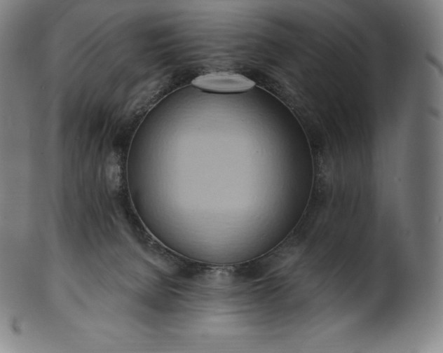 X0000101210080200807111043