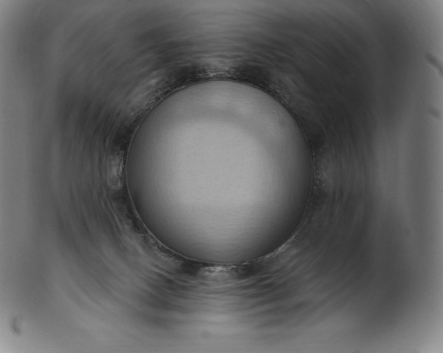 X0000101210082200807111043