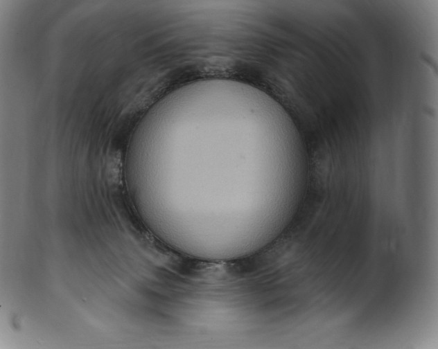 X0000101210083200807111043