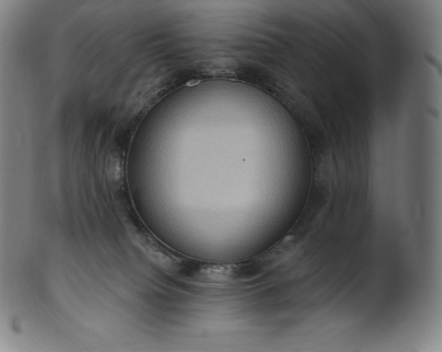 X0000101210084200807111043