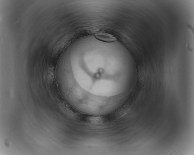 X0000101210085200807111043