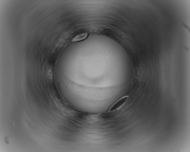 X0000101210086200807111043