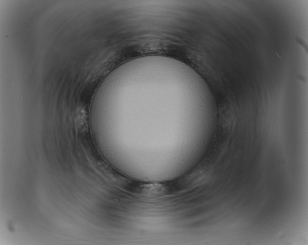 X0000101210087200807111043