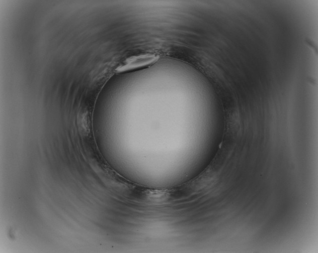 X0000101210088200807111043