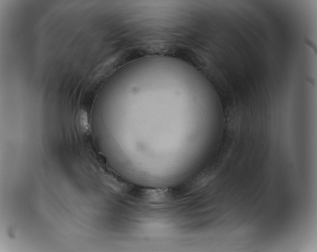 X0000101210089200807111043