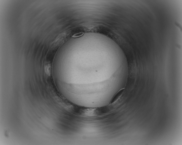 X0000101210090200807111043