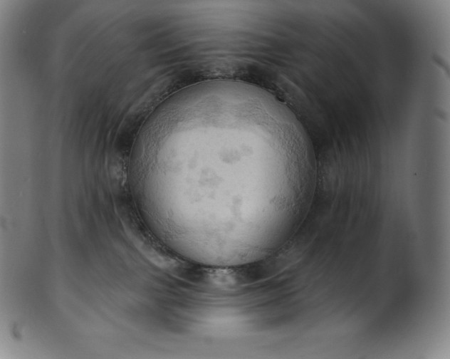 X0000101210091200807111043