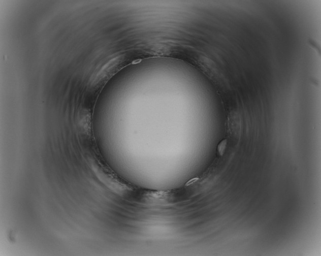 X0000101210092200807111043