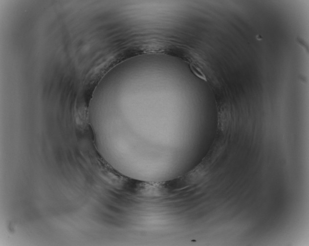 X0000101210093200807111043