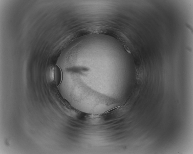 X0000101210095200807111043