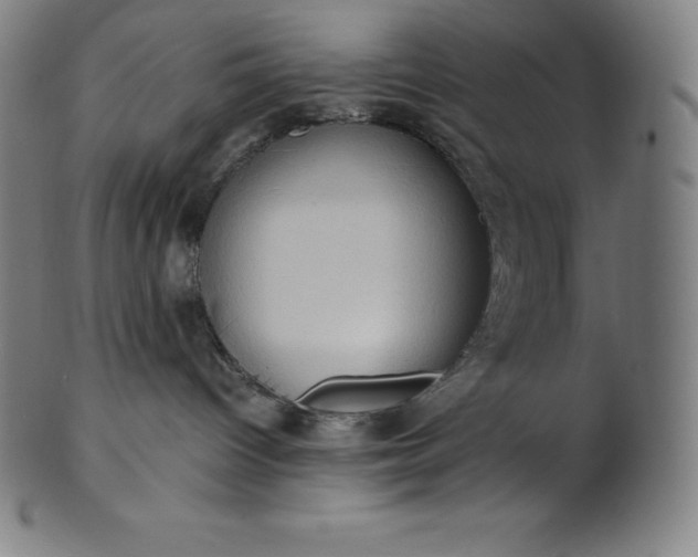 X0000101210096200807111043