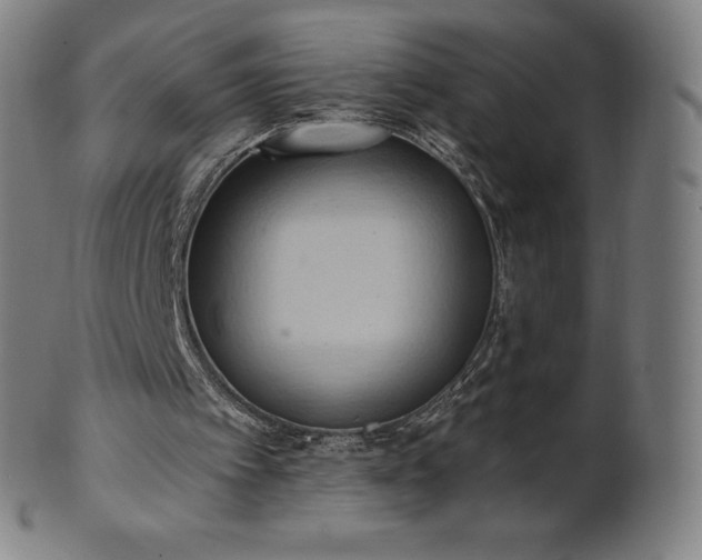 X0000101210097200807111042