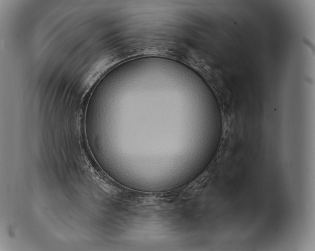 X0000101210098200807111042