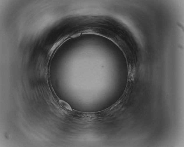 X0000101210099200807111042