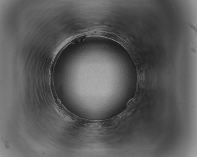 X0000101210100200807111042