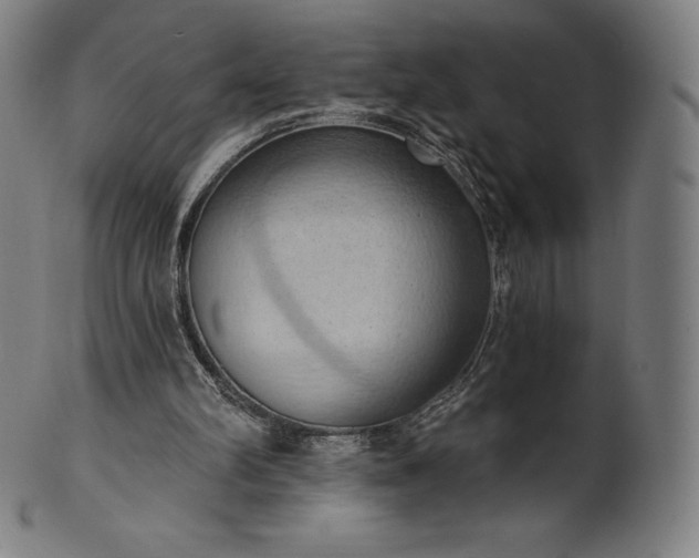 X0000101210102200807111042