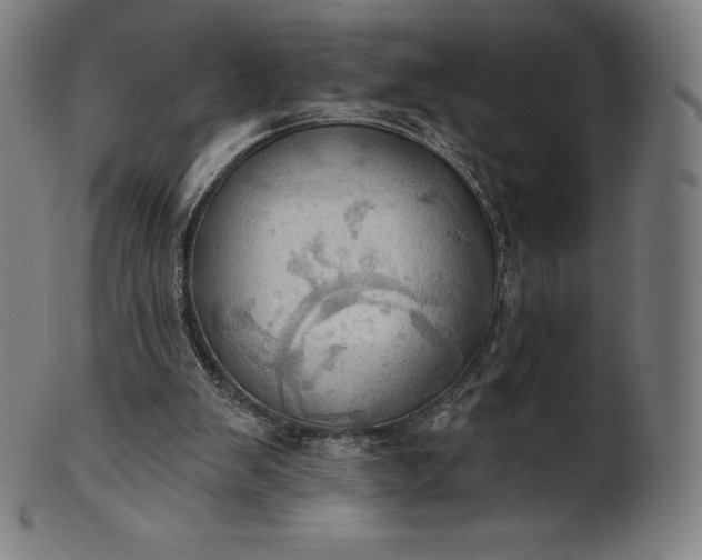 X0000101210103200807111042