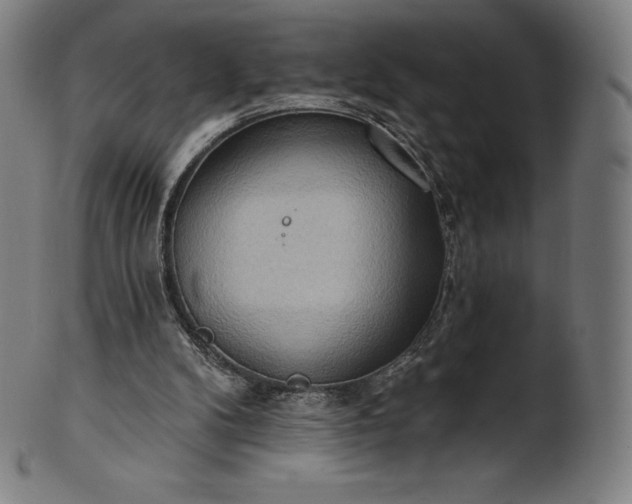 X0000101210104200807111042