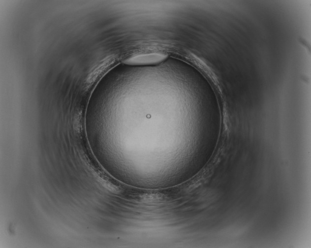 X0000101210105200807111042