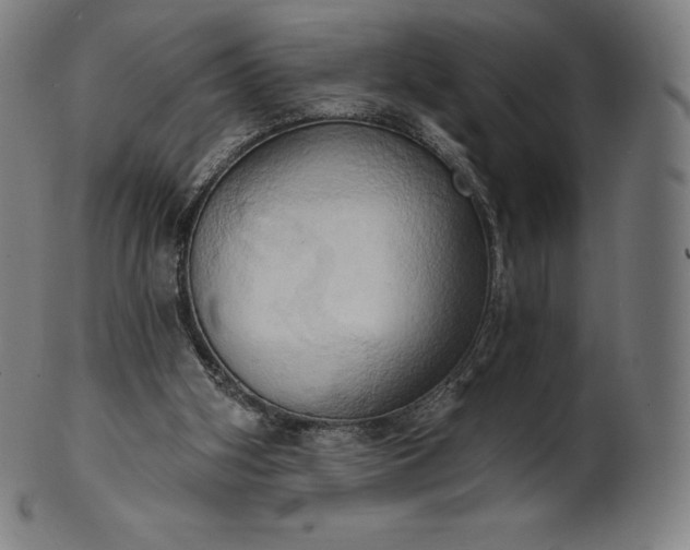 X0000101210106200807111042