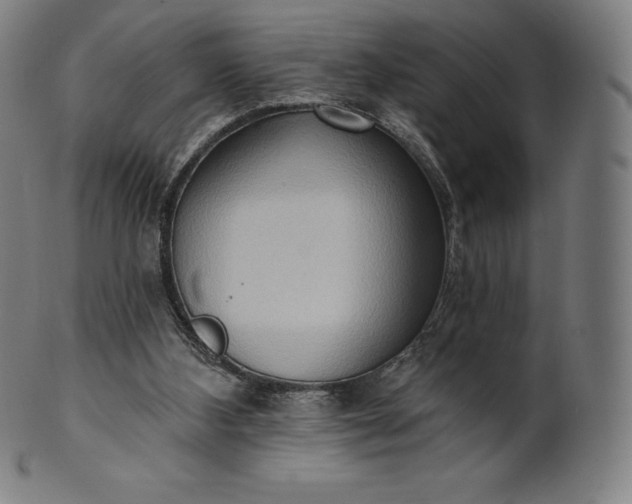 X0000101210108200807111042