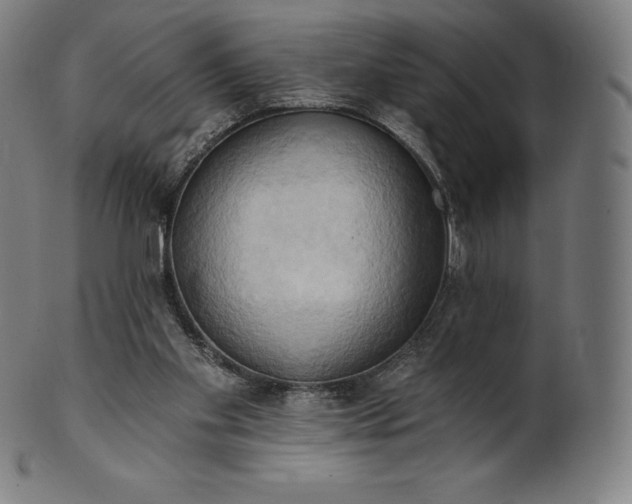 X0000101210109200807111042