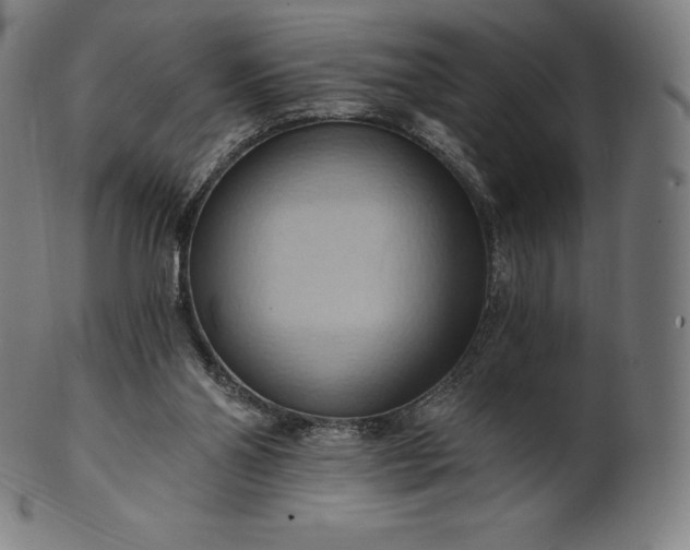 X0000101210110200807111042