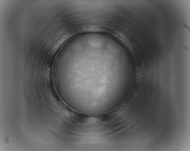 X0000101210111200807111042