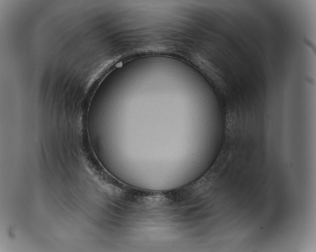 X0000101210112200807111042