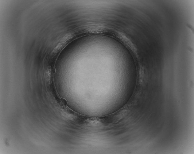 X0000101210113200807111042