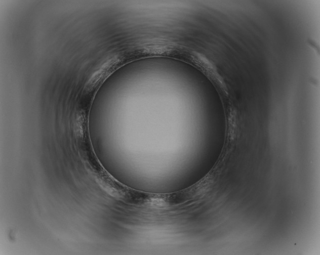 X0000101210114200807111042