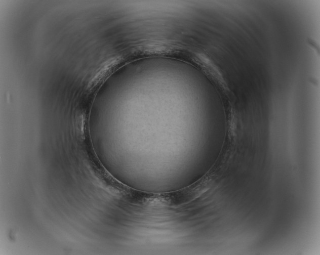 X0000101210115200807111042