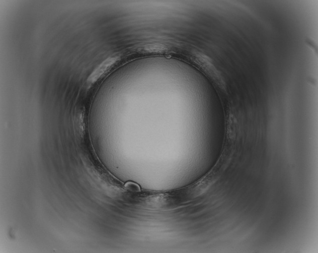 X0000101210116200807111042