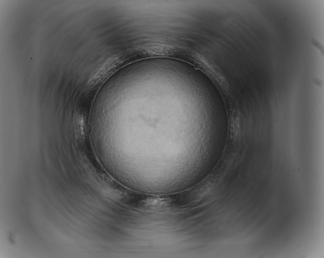 X0000101210117200807111042