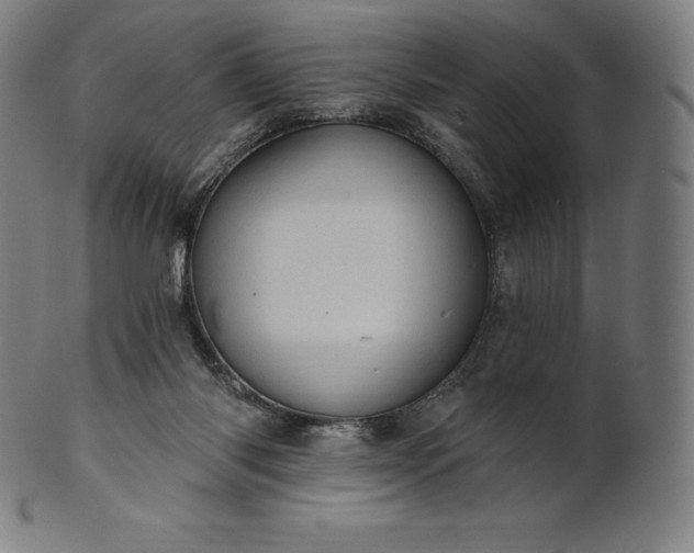 X0000101210118200807111042