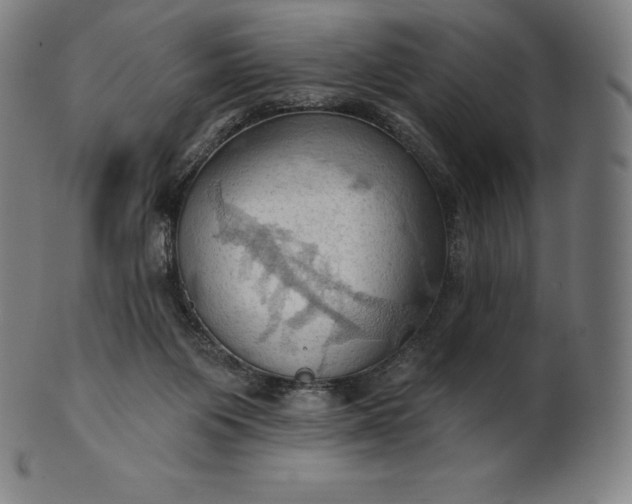 X0000101210119200807111042