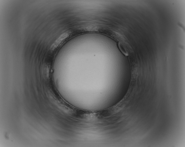 X0000101210120200807111042