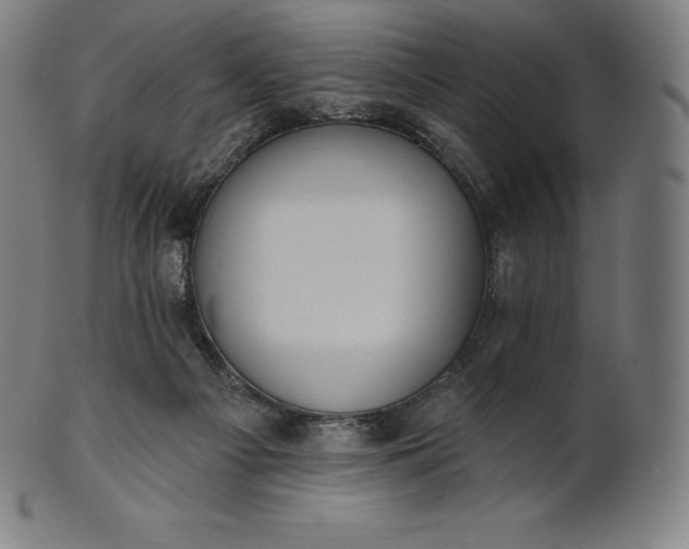 X0000101210121200807111042