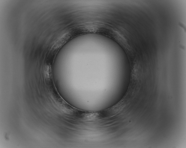 X0000101210122200807111042