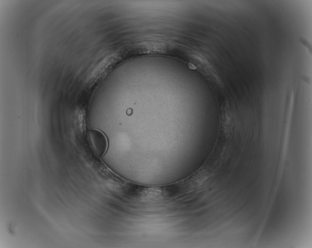 X0000101210123200807111042