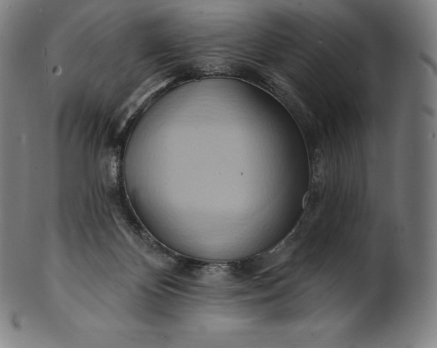 X0000101210124200807111042