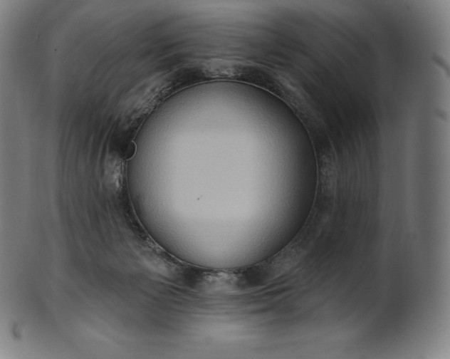 X0000101210125200807111042