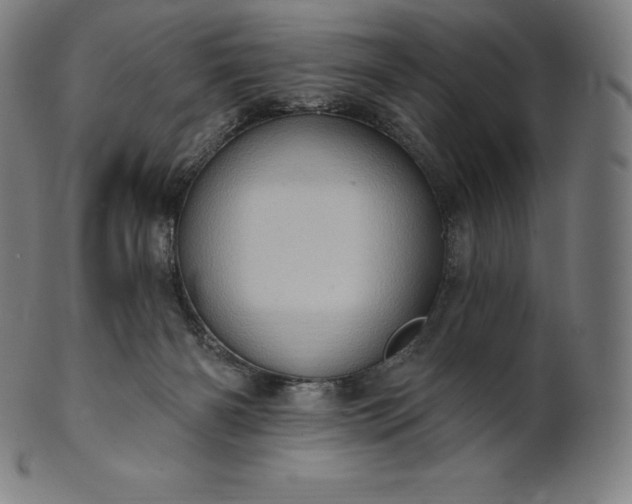 X0000101210126200807111042