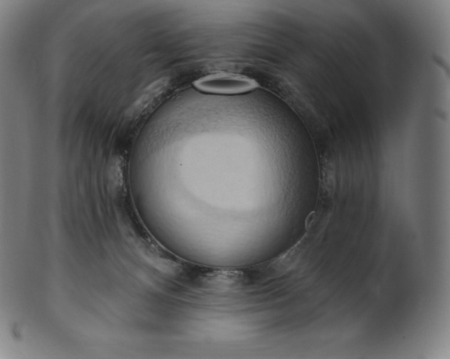 X0000101210128200807111042