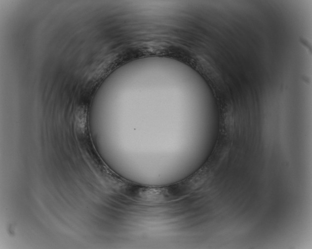 X0000101210129200807111042