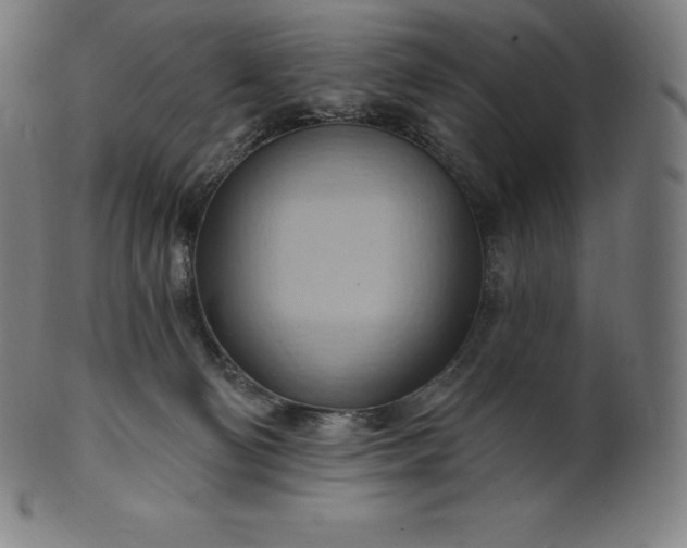 X0000101210130200807111042