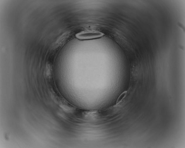 X0000101210132200807111042