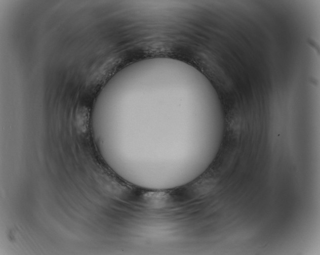 X0000101210133200807111042