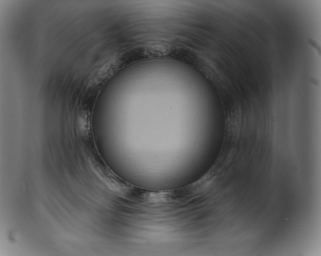 X0000101210134200807111042